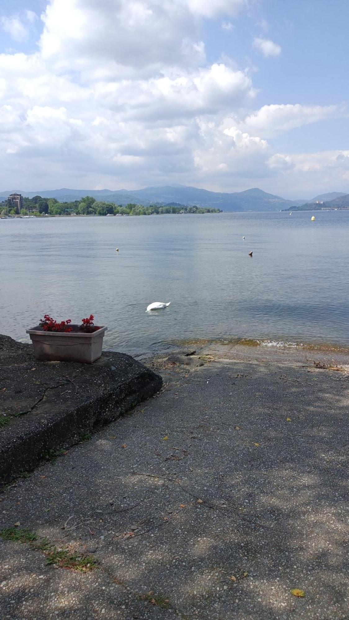 House Benedetta & Gloria On The Lake カステッレット・ソプラ・ティチーノ エクステリア 写真